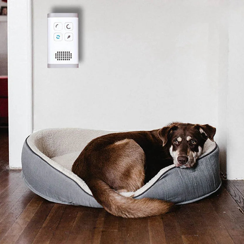 Mini Plug-in Air Purifier & Ozone Ionizer – Deodorizer for Home, Pets & Toilet