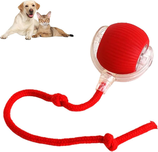 Smart Rolling Ball Toy for Dogs & Cats – 360° Interactive Pet Ball, Automatic Movement