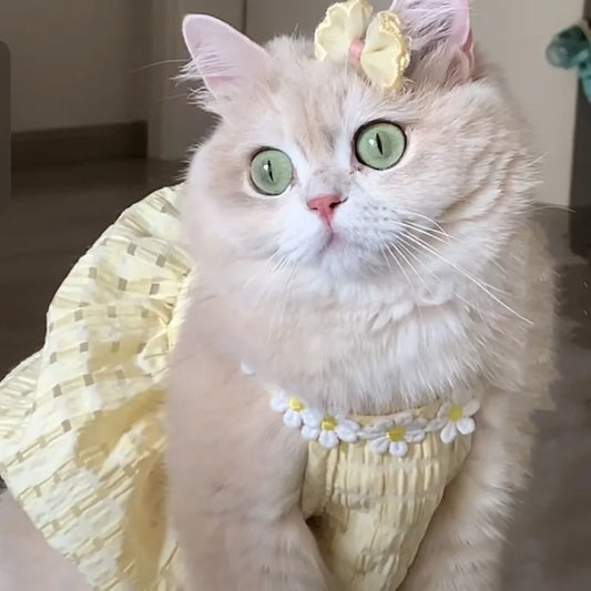 Summer Cat Dress – Cute Skirt & Vest Outfit for Kittens and Short-Hair Cats