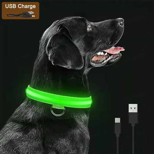 USB Rechargeable LED Dog Collar – 3 Modes Glow Light for Dogs & Cats